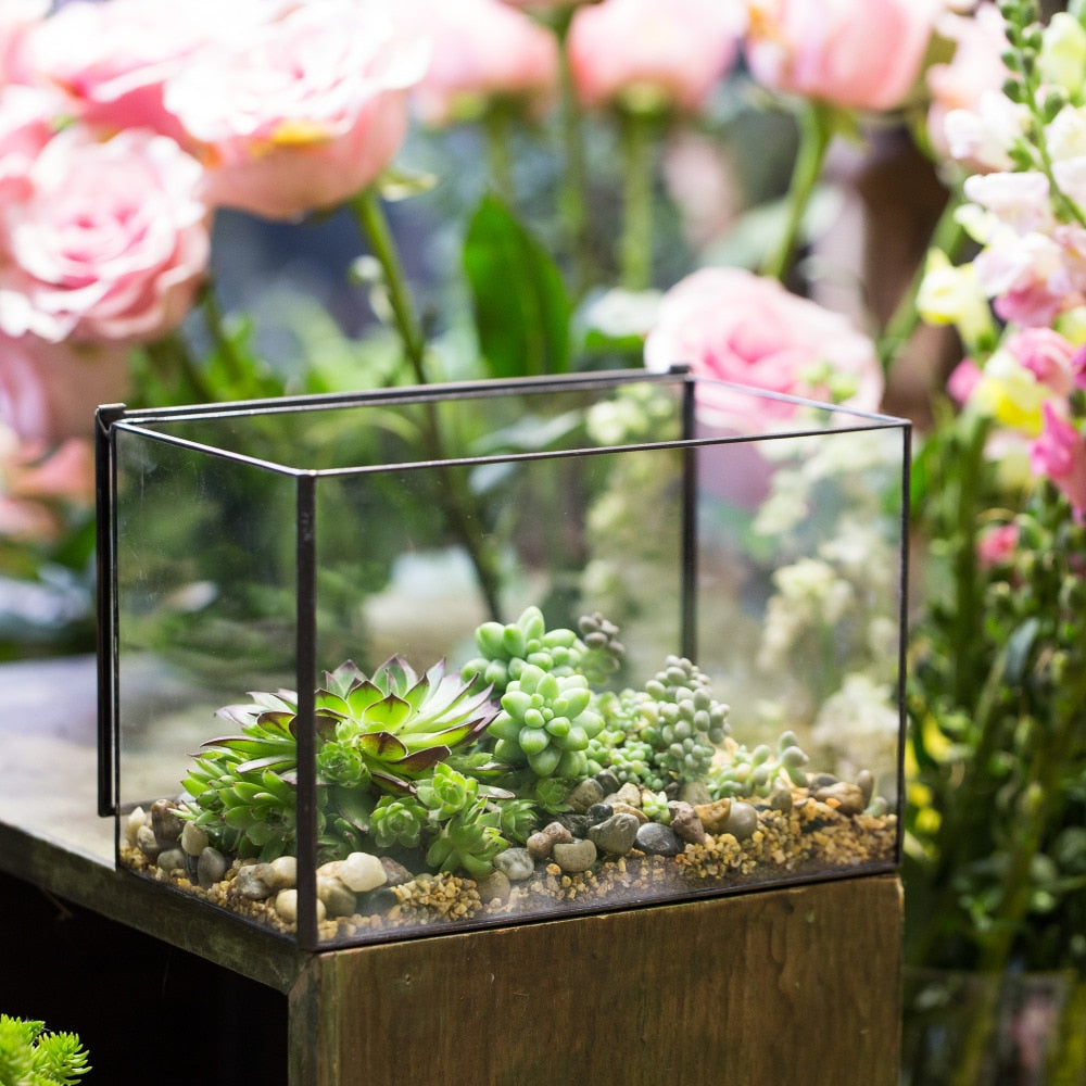 Handmade Rectangle Clear Glass Geometric Terrarium Box with Lid for Succulents Micro Landscape - NCYPgarden