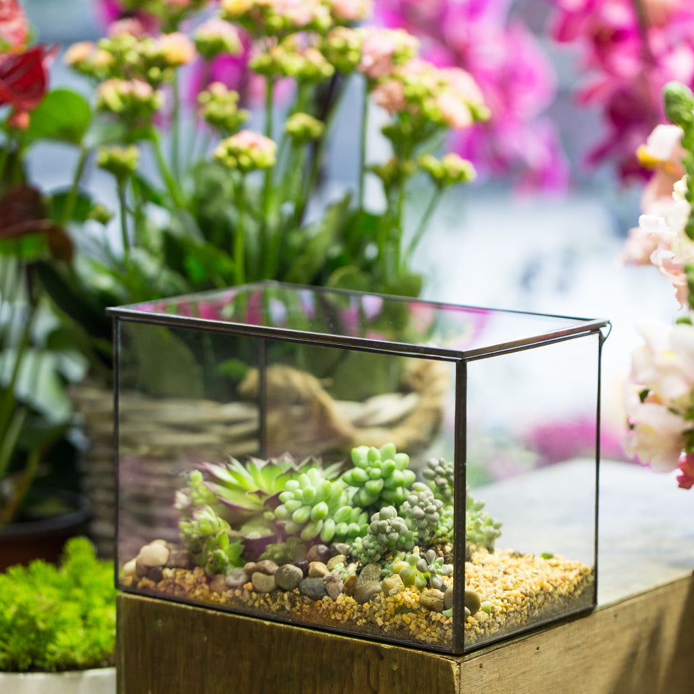 Handmade Rectangle Clear Glass Geometric Terrarium Box with Lid for Succulents Micro Landscape - NCYPgarden
