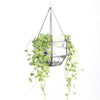 Handmade Hanging Six-surface with 3 Spaced Opening Glass Geometric Terrarium for Succulent Cacti - NCYPgarden