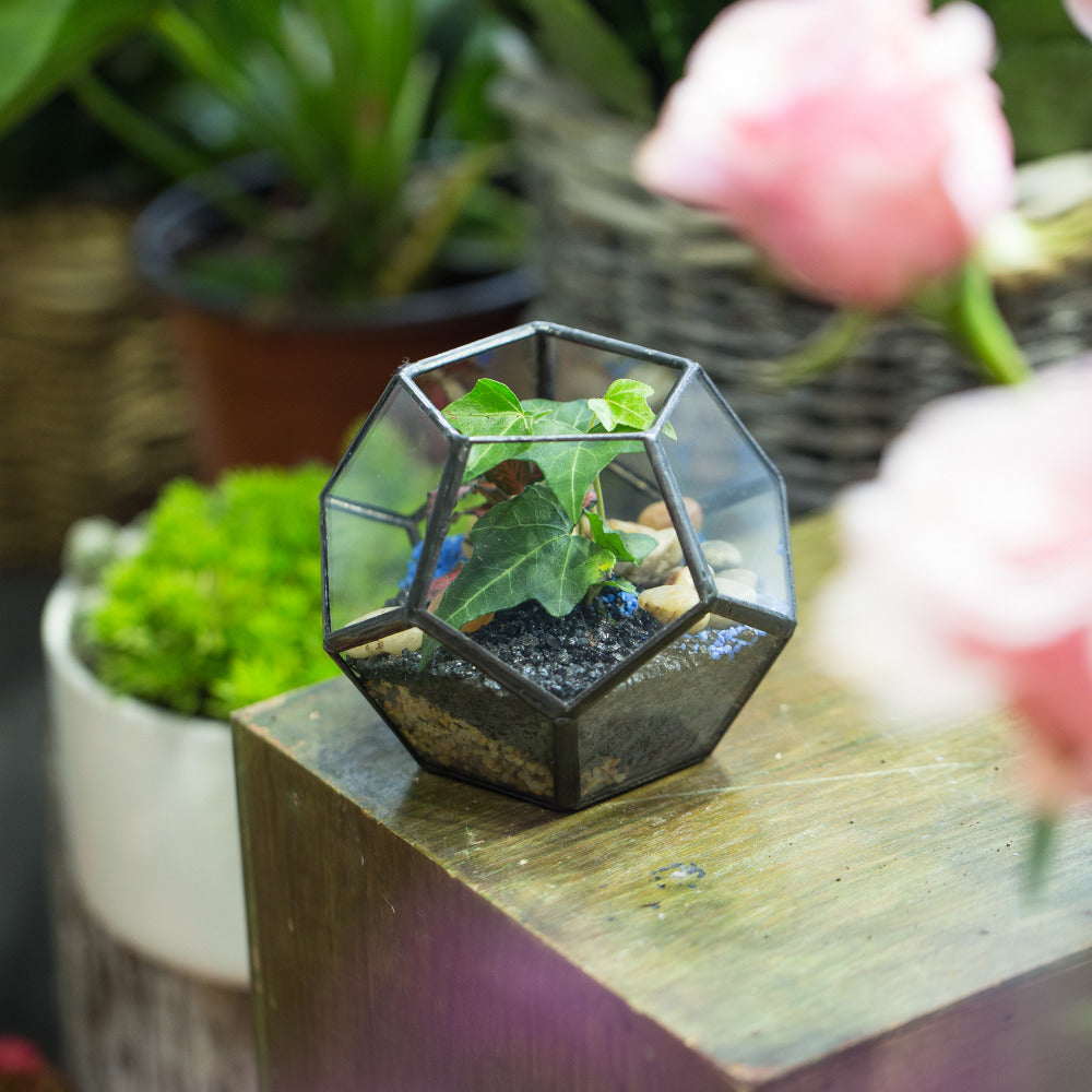 Handmade Mini Black Pentagon Glass Geometric Terrarium for Ring Box Moss - NCYPgarden