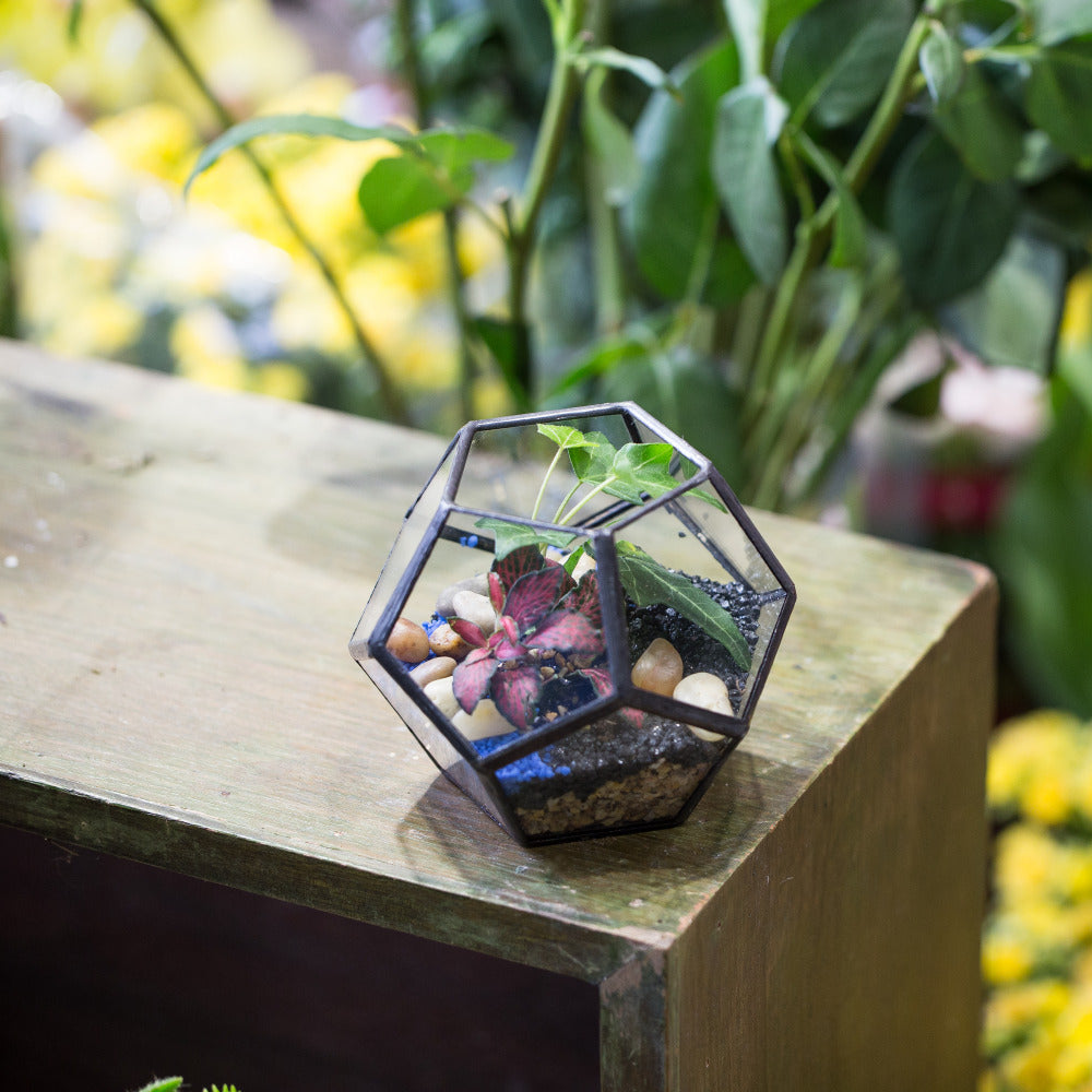 Handmade Mini Black Pentagon Glass Geometric Terrarium for Ring Box Moss - NCYPgarden