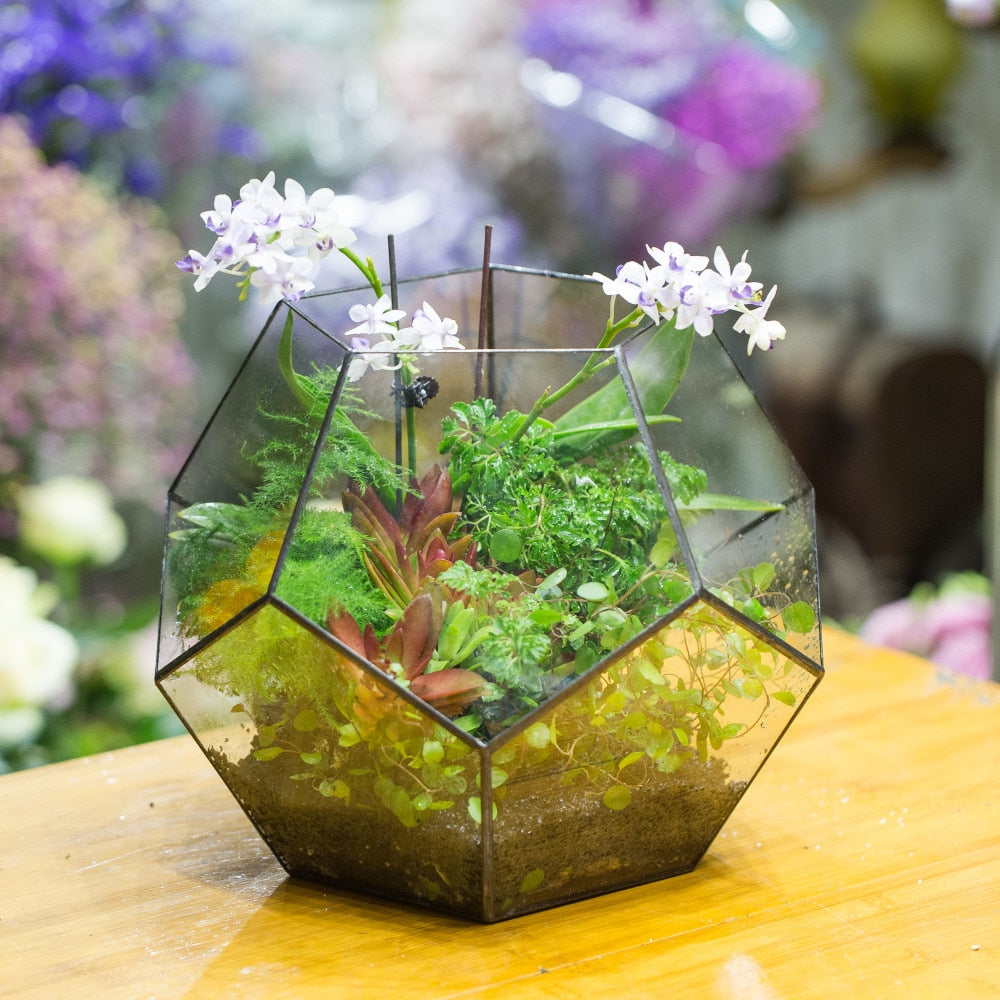 Handmade Extra Large Large Pentagon Glass Geometric Terrarium for Succulents Fern Moss Airplants - NCYPgarden