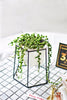 Black Iron Rack Hexagonal Holder with Ceramic Planter Pot for Succulents Cactus Plants Coffee Table - NCYPgarden