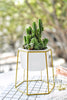 Gold Iron Rack Holder with White Ceramic Pot Planter for Succulents Herb Flower Desktop Decoration - NCYPgarden