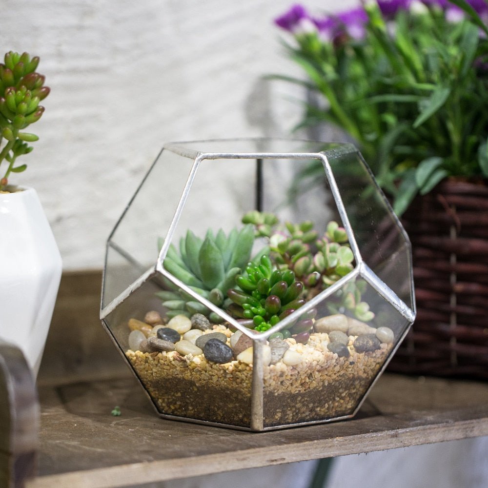 glass air plant containers Buy Handmade Tabletop Polyhedron Glass Geometric Terrarium – NCYPgarden