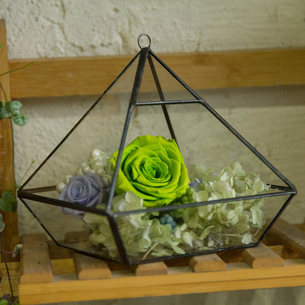 Handmade Hanging Glass Geometric Plant Container Terrariumfor Succulent Planter Fern Moss - NCYPgarden