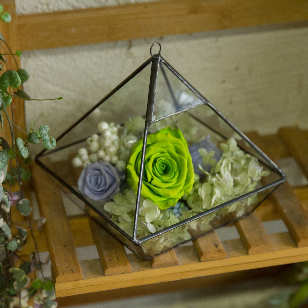 Handmade Hanging Glass Geometric Plant Container Terrariumfor Succulent Planter Fern Moss - NCYPgarden