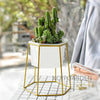 Gold Iron Rack Holder with White Ceramic Pot Planter for Succulents Herb Flower Desktop Decoration - NCYPgarden