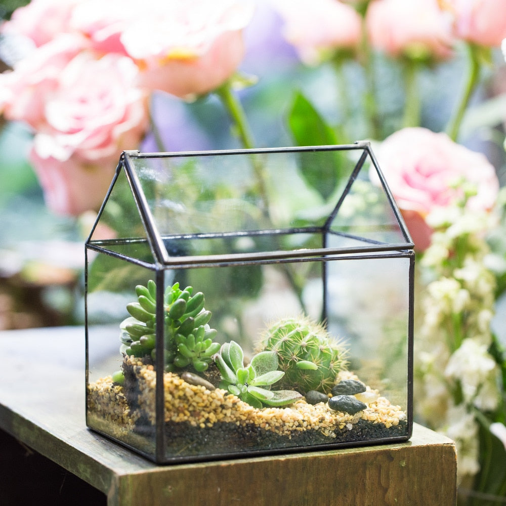 Handmade Black House Shape Glass Geometric Terrarium wth Lid for Succulent  Fern Moss Airplants - NCYPgarden