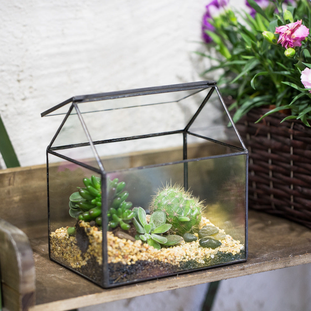 Handmade Black House Shape Glass Geometric Terrarium wth Lid for Succulent  Fern Moss Airplants - NCYPgarden