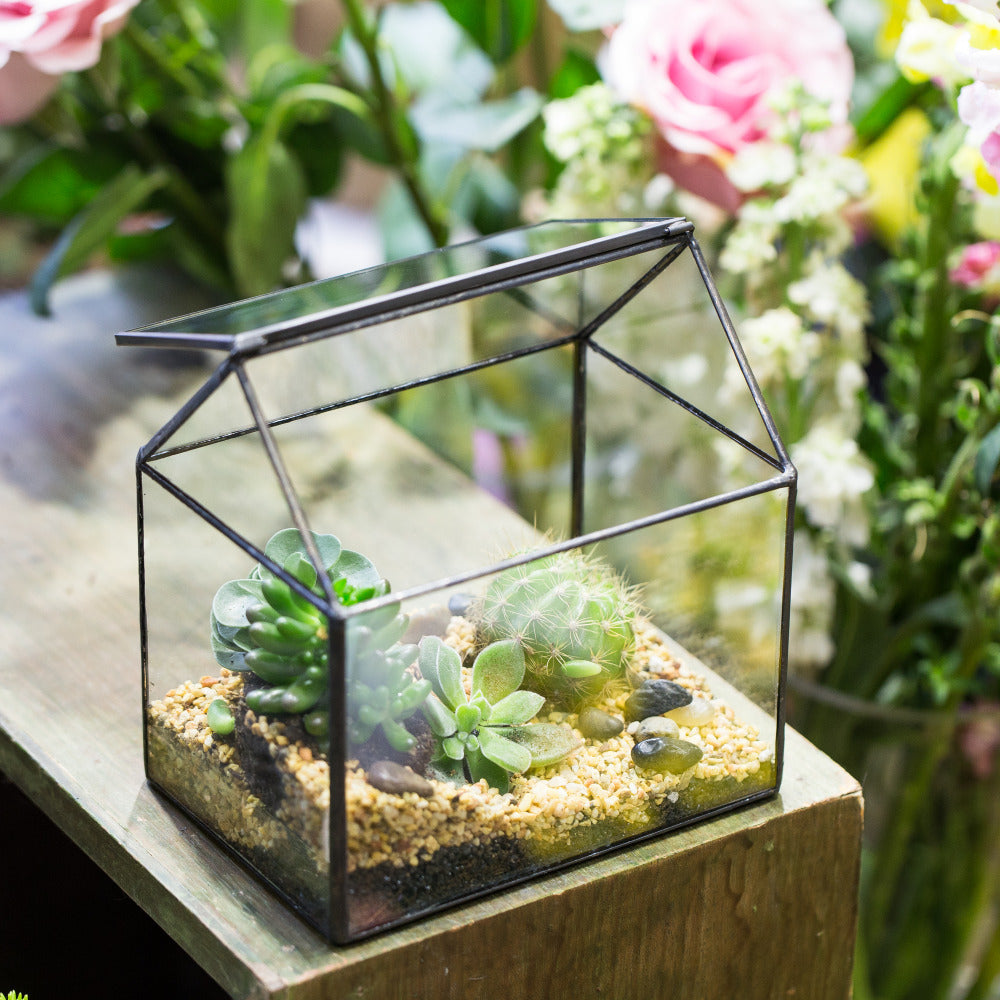 Handmade Black House Shape Glass Geometric Terrarium wth Lid for Succulent  Fern Moss Airplants - NCYPgarden