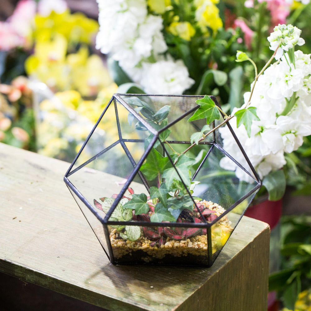 Handmade Glass Geometric Flower Terrarium Pot for Succulents Moss Fern Micro Landscape - NCYPgarden