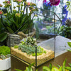 Handmade House Shape Glass Black Geometric Terrarium with Lid for Succulent Moss Airplants Cacti - NCYPgarden