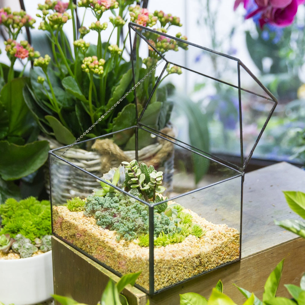 Handmade House Shape Glass Black Geometric Terrarium with Lid for Succulent Moss Airplants Cacti - NCYPgarden