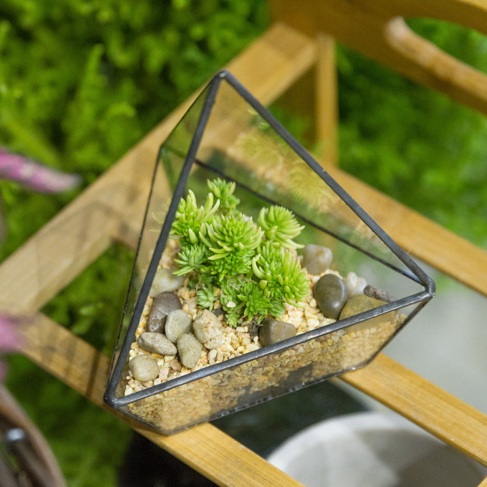 Handmade Geometric Flower Pot Small Glass Terrarium Pot for Container Balcony Garden Succulents - NCYPgarden
