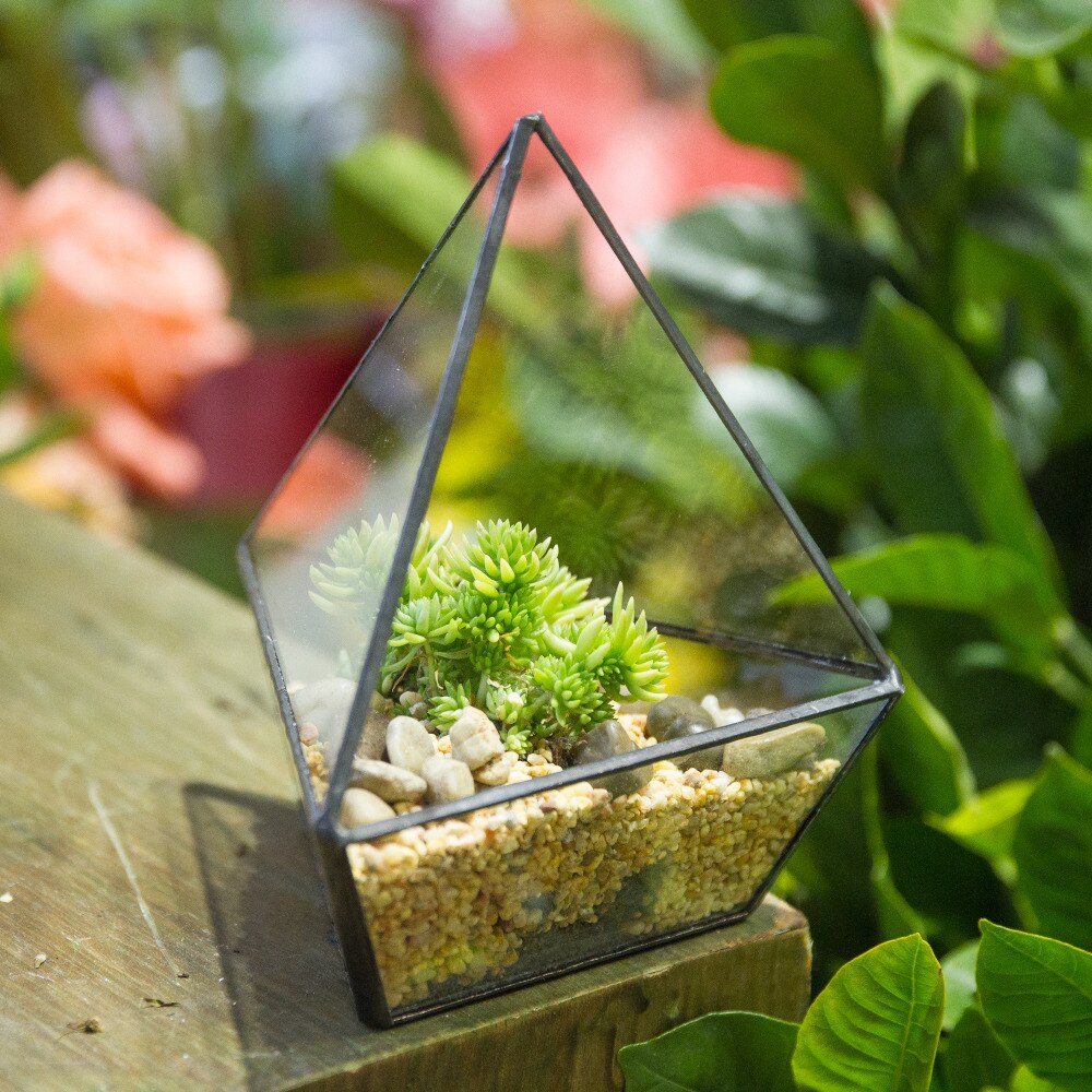 Handmade Geometric Flower Pot Small Glass Terrarium Pot for Container Balcony Garden Succulents - NCYPgarden