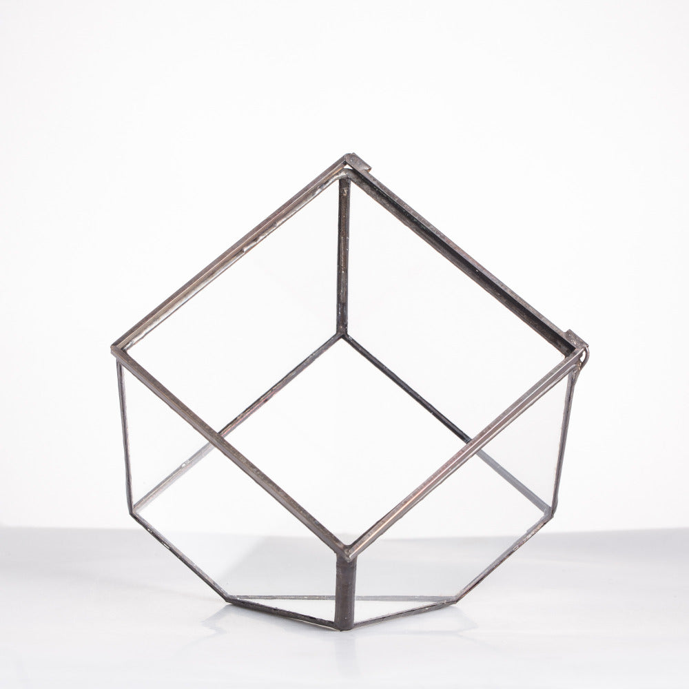 Handmade 10cm / 15cm Inclined Cube Glass Black Geometric Terrarium with Door for Succulent Moss - NCYPgarden