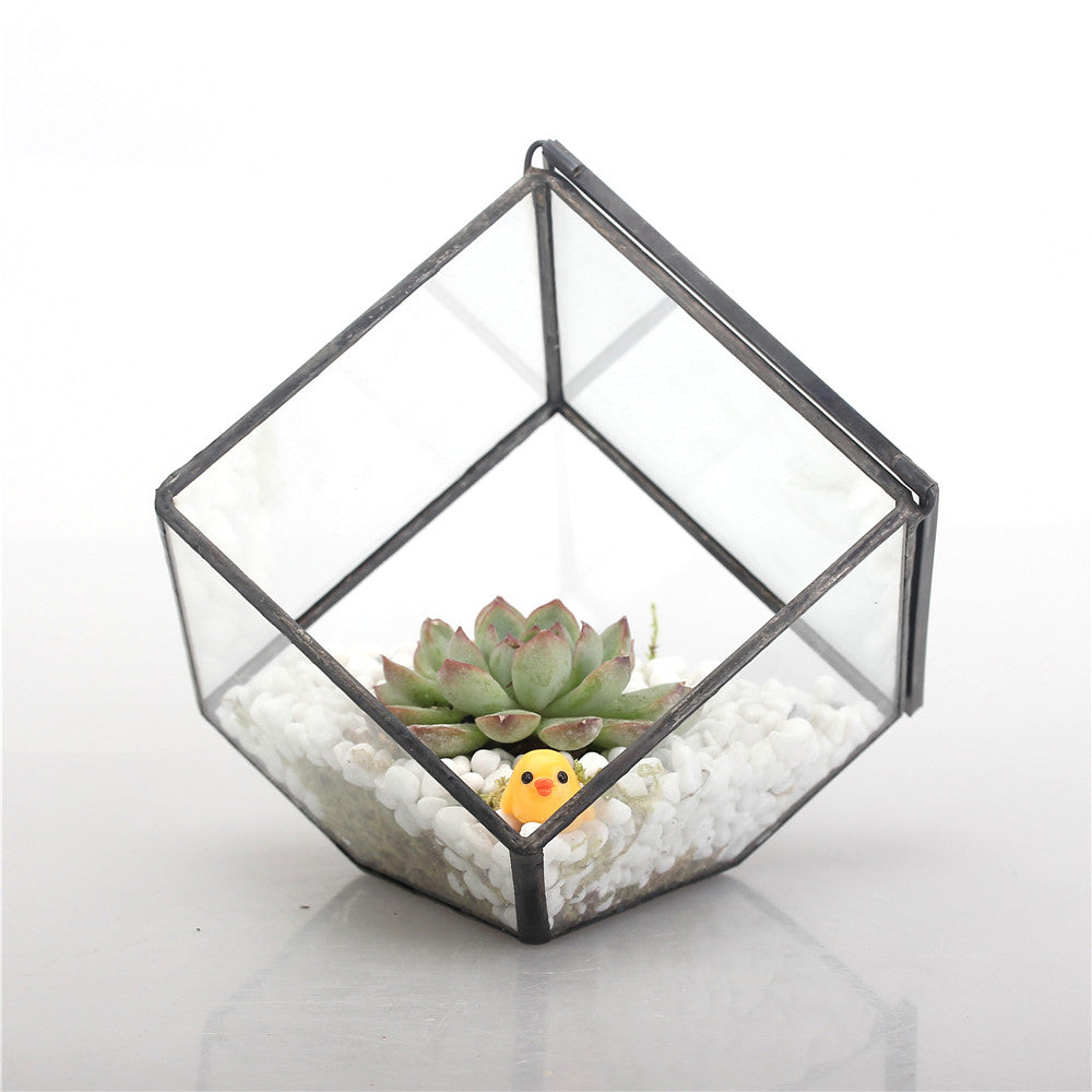 Handmade 10cm / 15cm Inclined Cube Glass Black Geometric Terrarium with Door for Succulent Moss - NCYPgarden