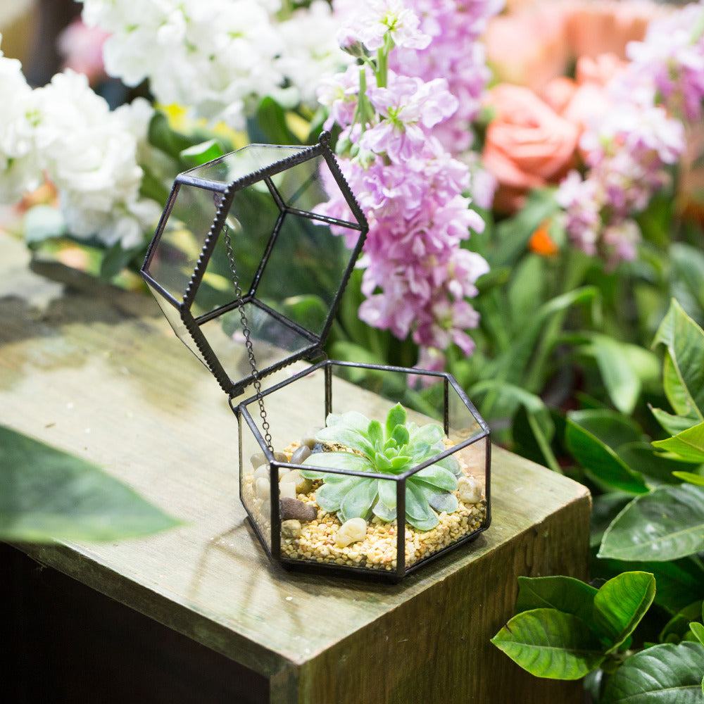 Handmade Small Glass Jewelry Geometric Box Terrarium for Succulents Ring Box - NCYPgarden