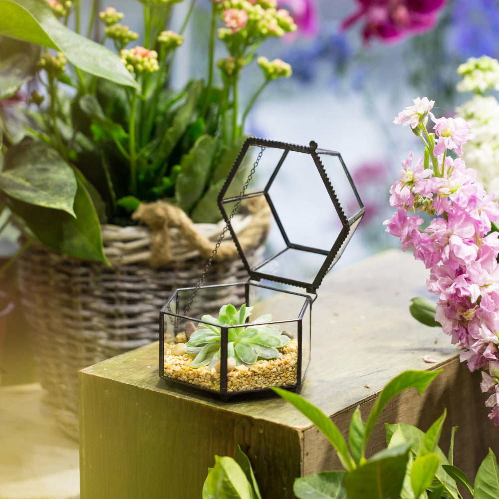 Handmade Small Glass Jewelry Geometric Box Terrarium for Succulents Ring Box - NCYPgarden
