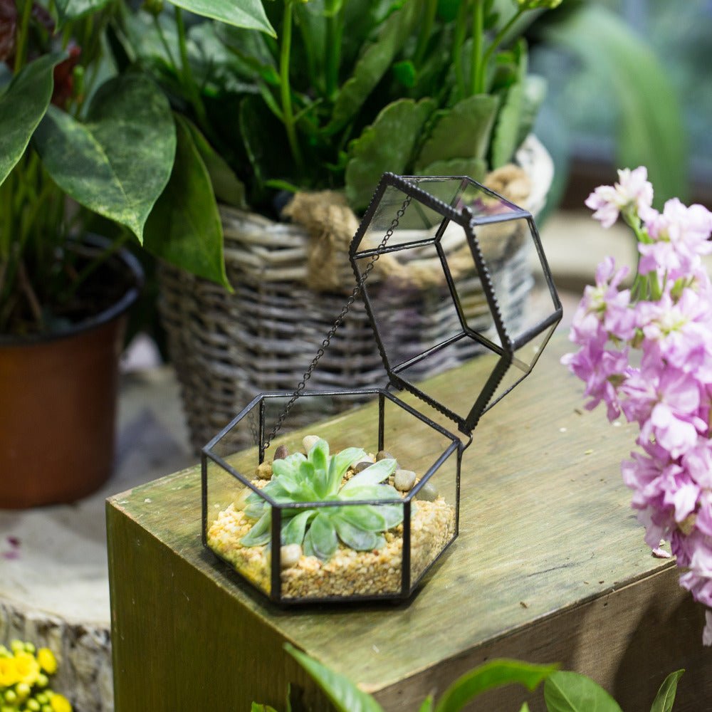 succulent ring box Shop Handmade Small Glass Jewelry Geometric Box – NCYPgarden