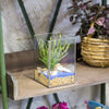 Handmade Silver Long Geometric Glass Terrarium for Succulents Moss Cacti Fern - NCYPgarden
