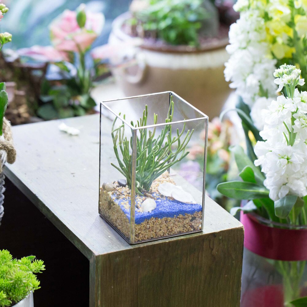 Handmade Silver Long Geometric Glass Terrarium for Succulents Moss Cacti Fern - NCYPgarden