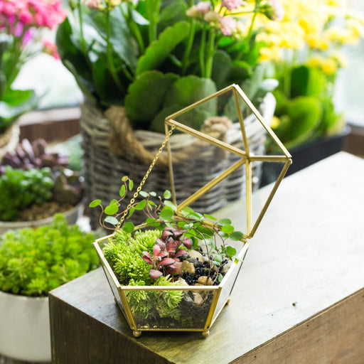 Handmade Vintage Gold Jewelry Box Design Terrarium Tabletop for Succulent Home Office Garden - NCYPgarden