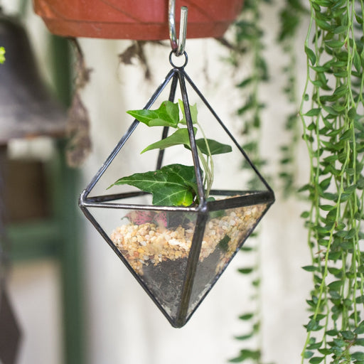 Handmade Small Hanging Hanging Geometric Glass Terrarium for Succulent Air Plant - NCYPgarden
