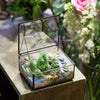 Handmade Small Jewelry Box Geometric Glass Terrarium with Cover for Airplants Succulents Moss Ring - NCYPgarden