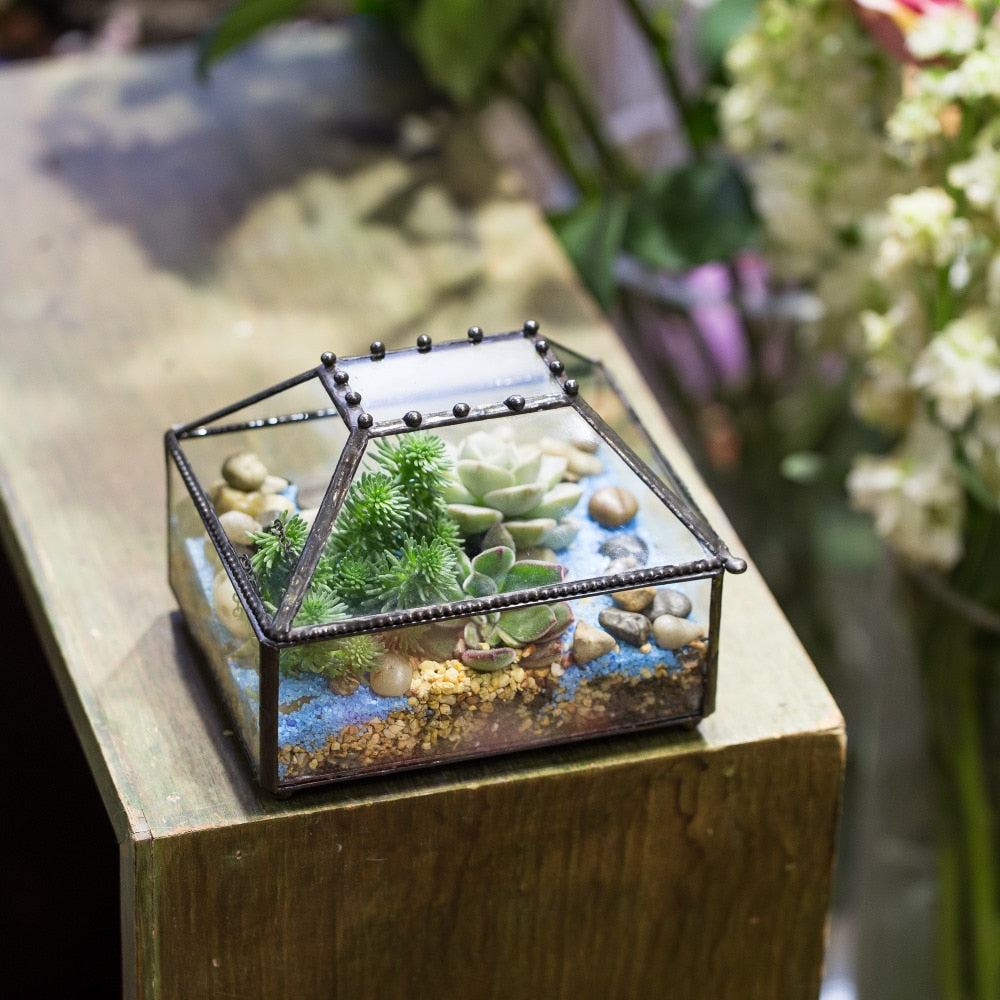 Handmade Small Jewelry Box Geometric Glass Terrarium with Cover for Airplants Succulents Moss Ring - NCYPgarden