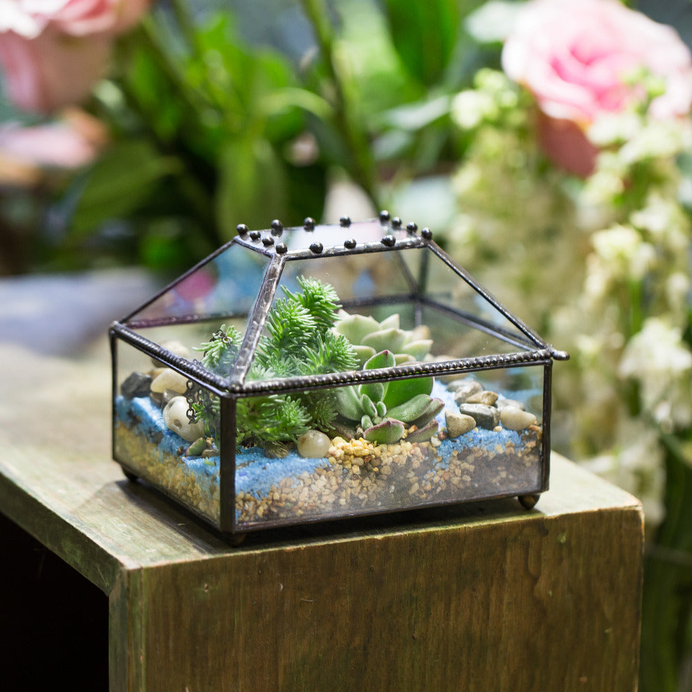 Handmade Small Jewelry Box Geometric Glass Terrarium with Cover for Airplants Succulents Moss Ring - NCYPgarden