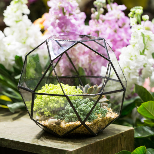 Handmade Triangular Pentagon Mix 32-Sides Clear Glass Geometric Centerpiece Terrarium for Succulents - NCYPgarden