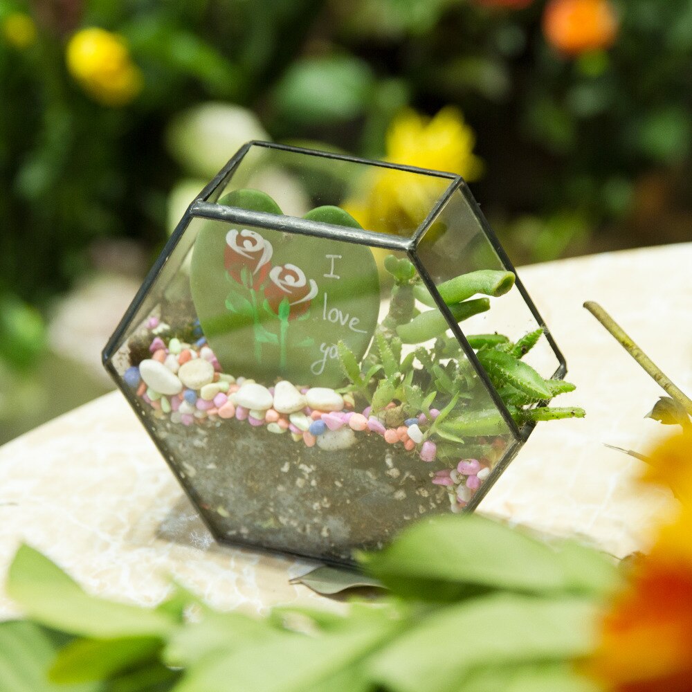 Handmade HoneycombThin Glass Geometric Terrarium for Succulents Moss - NCYPgarden
