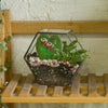 Handmade HoneycombThin Glass Geometric Terrarium for Succulents Moss - NCYPgarden