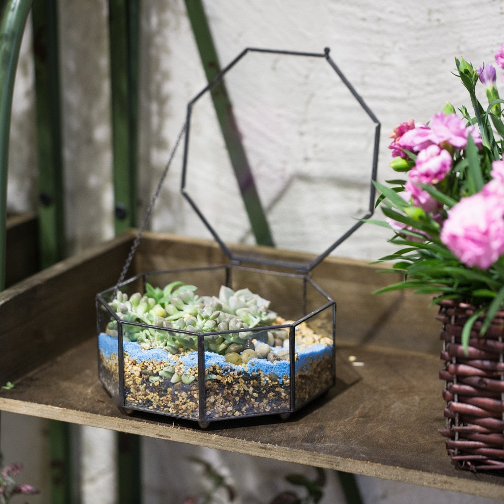 Handmade Regular Octagon Glass Geometric Terrarium for Succulent Decoration - NCYPgarden