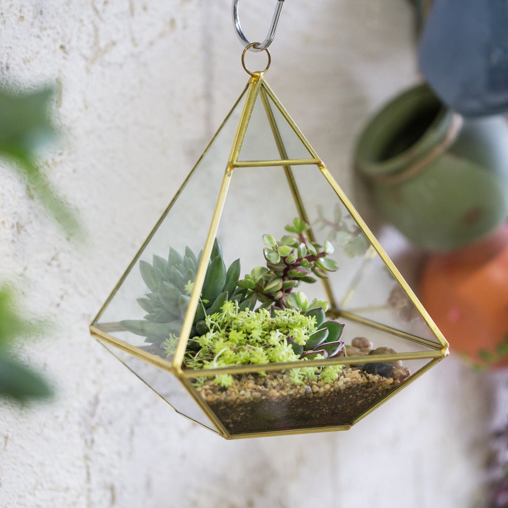 hanging glass succulents Handmade Gold Hanging Glass Geometric Terrarium Planter for Succulent Wedding Decoration