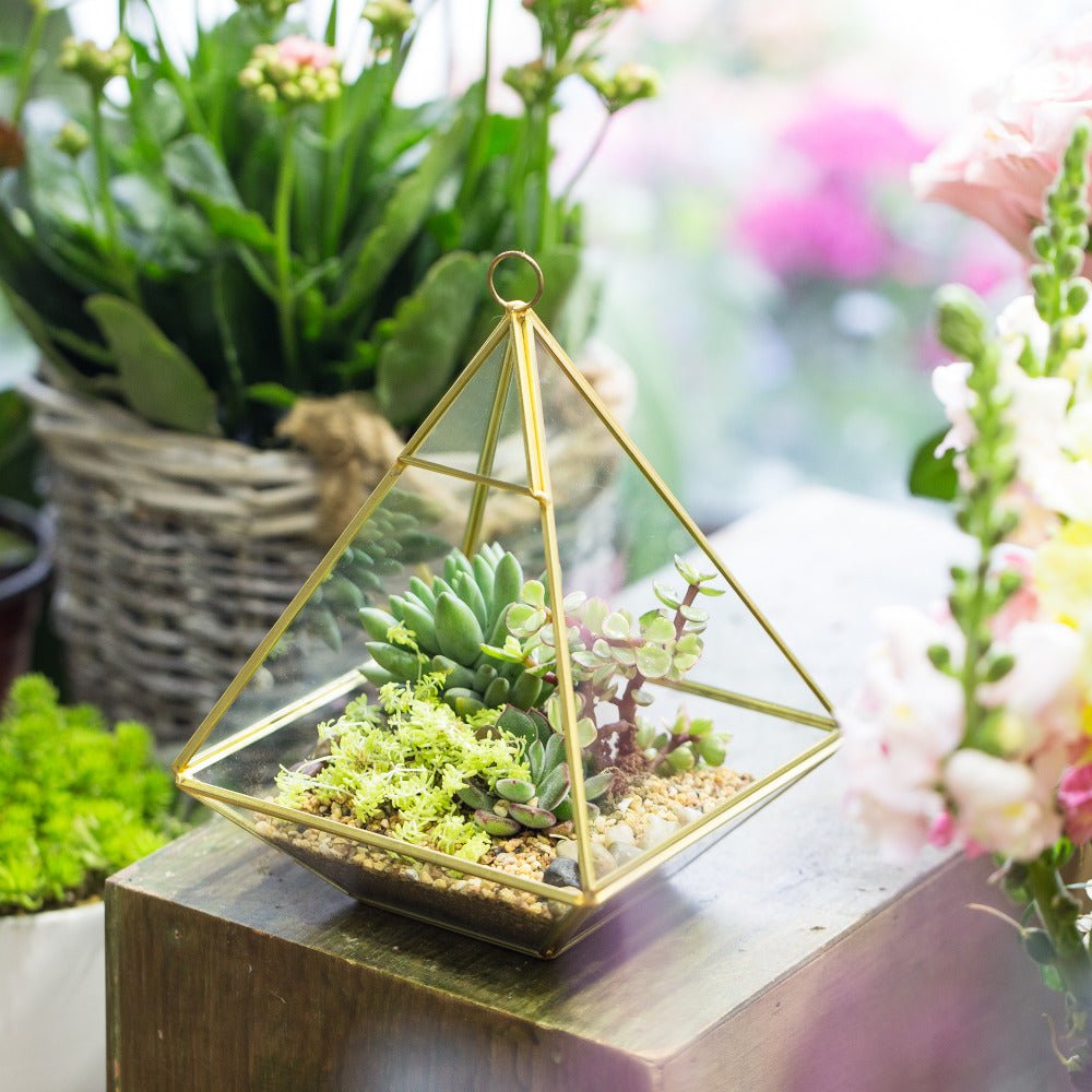 hanging glass succulent planter Handmade Gold Hanging Glass Geometric Terrarium Planter for Succulent Wedding Decoration