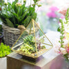 Handmade Gold Hanging Glass Geometric Terrarium Planter for Succulent Wedding Decoration - NCYPgarden