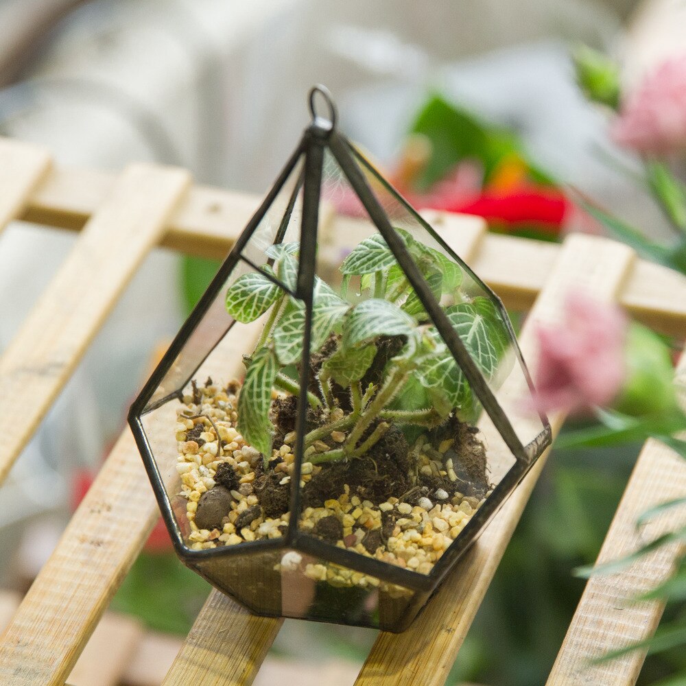 Handmade Small Teardrop Hanging Clear Glass Geometric Terrarium for Succulent Fern Airplants - NCYPgarden