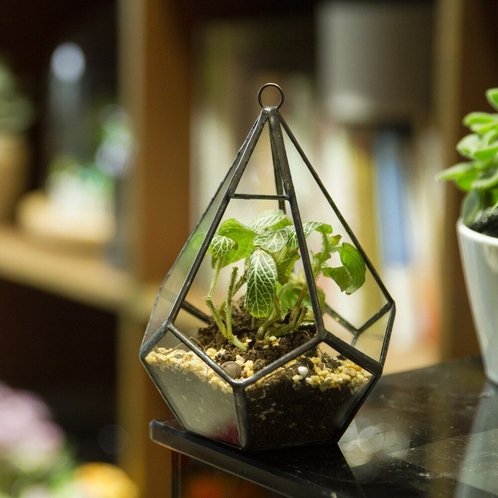 Handmade Small Teardrop Hanging Clear Glass Geometric Terrarium for Succulent Fern Airplants - NCYPgarden