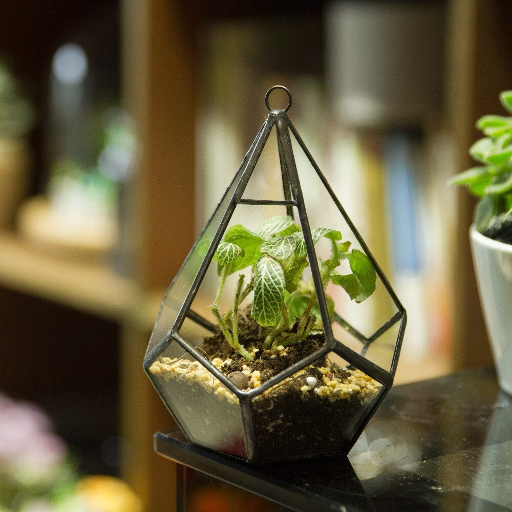 clear glass hanging planter Handmade Small Teardrop Hanging Clear Glass Geometric Terrarium for Succulent Fern Airplants