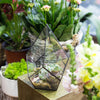 Handmade Black Artistic Four-surfaces Glass Geometric Terrarium for Succulents Airplants Moss - NCYPgarden