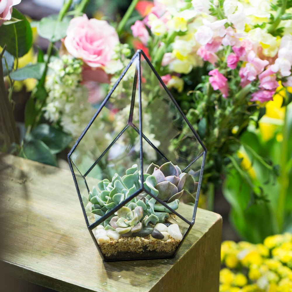 geometric succulent planter Artistic Four Surfaces Terrarium Vase
