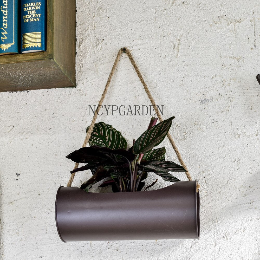 Hanging Planter Iron and Rope Modern Succulent Cactus Pots Decorative Display Flower Pot - NCYPgarden