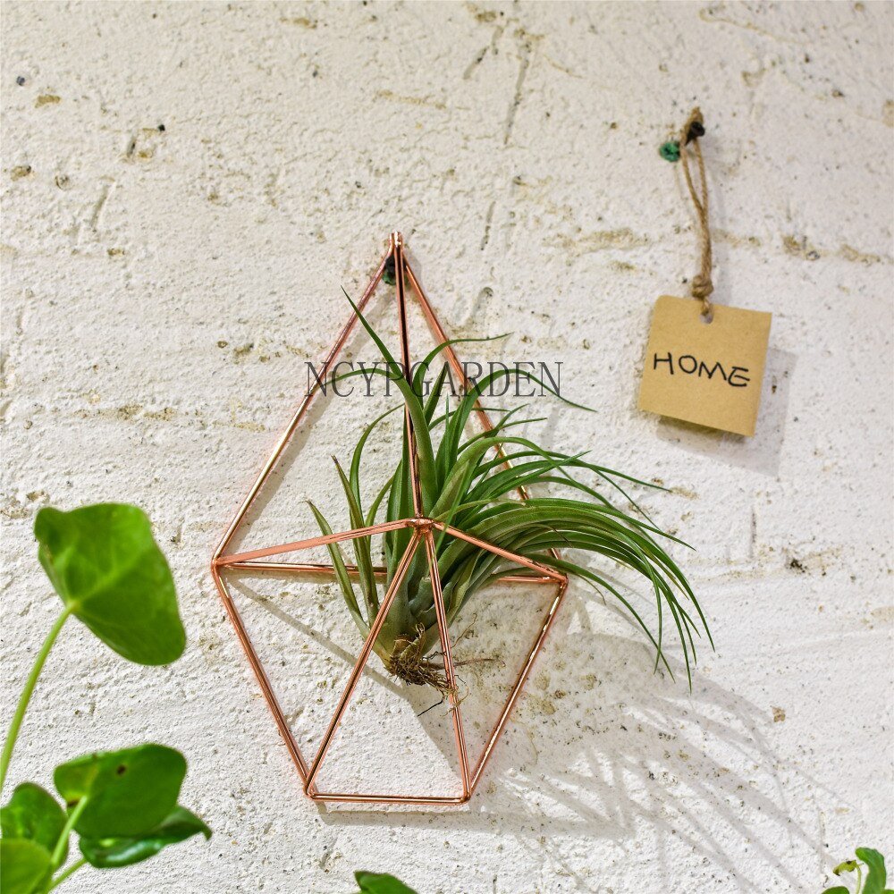 air plant wall holder Rustic Wall Mount Hanging Geometric Metal Tillandsia Air Plants Holder