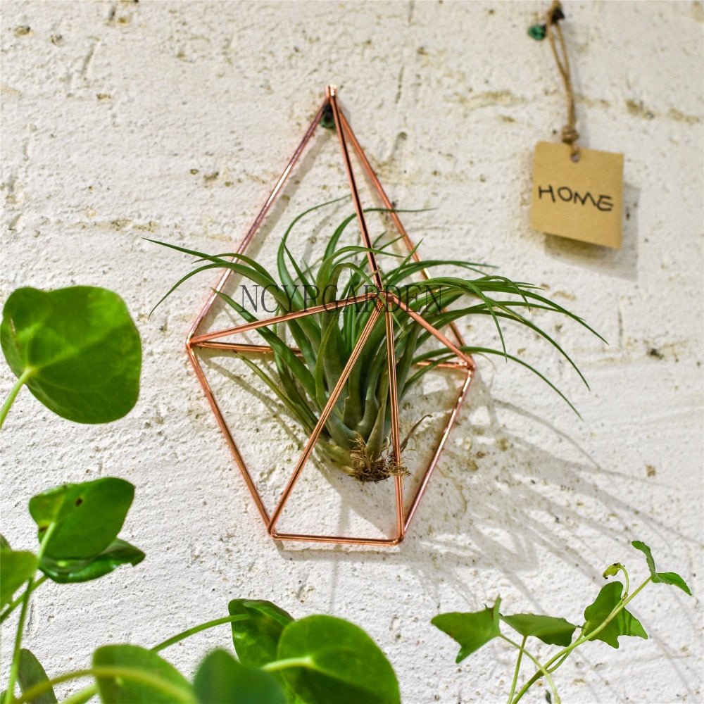 wall mounted air plant holder Rustic Wall Mount Hanging Geometric Metal Tillandsia Air Plants Holder