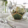 Handmade Gold Tabletop Polyhedron Glass Geometric Terrarium for Wedding Section Reception - NCYPgarden