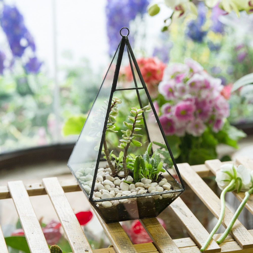 Handmade Glass Geometric Terrarium Indoor Outdoor Planter Landscape Wall Pyramid for Succulents - NCYPgarden