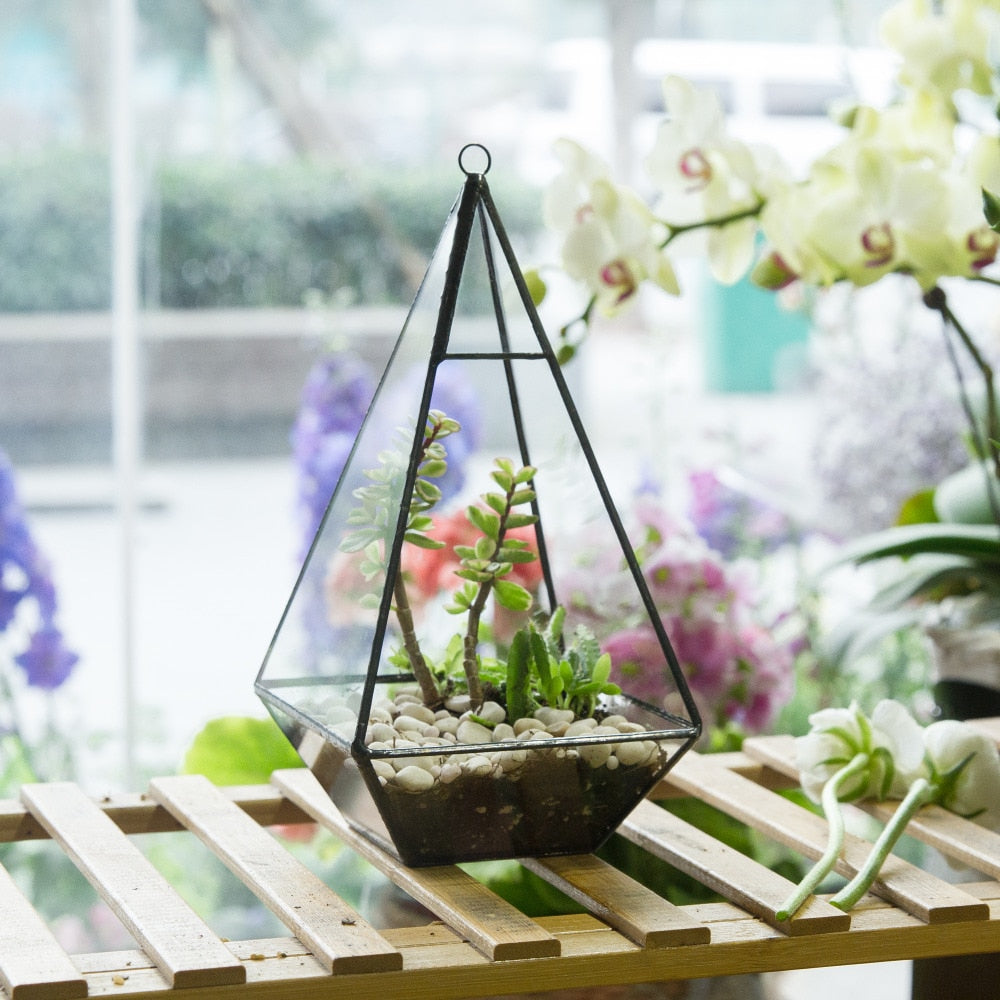 Handmade Glass Geometric Terrarium Indoor Outdoor Planter Landscape Wall Pyramid for Succulents - NCYPgarden